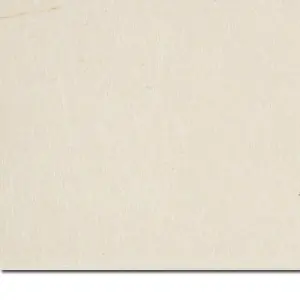 Compra Hoy Papel pintura japonesa Sumi-e, 80 gr, 50x65 cm.