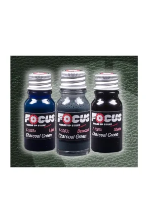 Charcoal Green Leather Focus Paint Set F-1003 Mayoreo