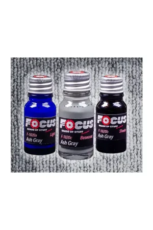 Ocasión Especial Ash Gray Carpet Focus Paint Set F-1020