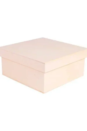 Disponible Ahora CAJA CON TAPA LISA 21'5X21'5X10CM.