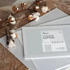 Liquidación CARTÓN ENTELADO PHOENIX 10F (55x36 CM)