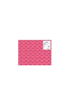 CARTULINA IRIS 50X65 185G FUCSIA CANSON C200040226 PACK 25 HOJAS Precio Bajo