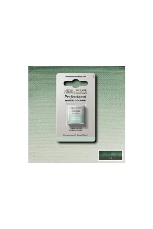 WINSOR & NEWTON PWC GODET TIERRA VERDE Precio Económico