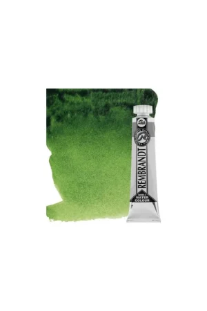Directo De Fábrica ACUARELA REMBRANDT 20ML 623 VERDE VEJIGA SERIE 2