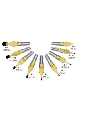 Ocasión Especial B1 Pen Nib