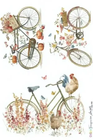 Oferta Especial TRANSFER COLOR ANI ARTS 20x30 CM BICICLETA
