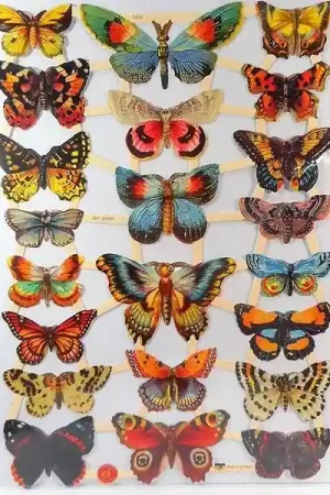 Envío Exprés CROMO ALEMÁN Nº7426