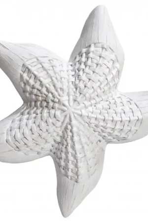 RESINA, ESTRELLA DE MAR MIMBRE 25x25x4 CM De Moda