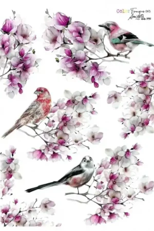 TRANSFER COLOR ANI ARTS 20x30 CM PÁJAROS EN RAMAS Entrega Rápida
