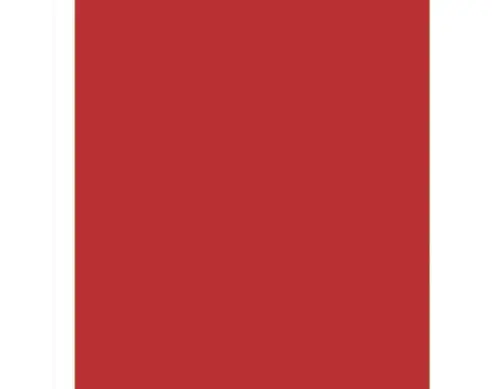 PLANCHA FOAMIRAN ROJO 60x35 CM Ordena Ya