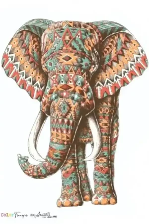 TRANSFER COLOR ANI ARTS 20x30 CM ELEFANTE Mejor Calidad
