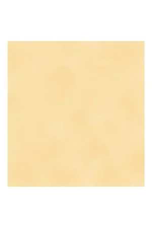 PAPEL SCRAP EL ALTILLO DE LOS DUENDES, LOS BÁSICOS MÁGICOS DE NEVY 003 Oferta Limitada