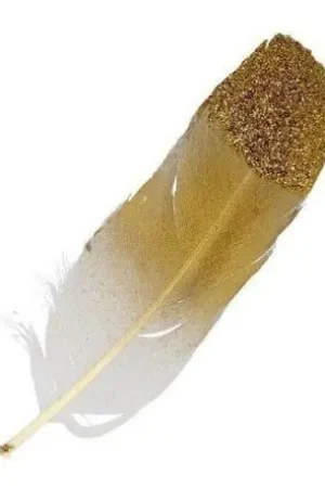 Lujoso PLUMAS DORADAS 11 CM, SET 6