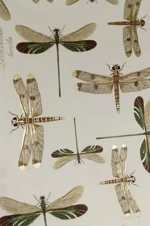 PAPEL DECORATIVO ROSSI LIBÉLULAS 70x100 CM Oferta