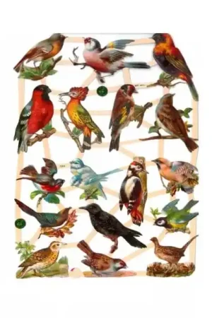 Edición Limitada CROMO ALEMÁN Nº7323