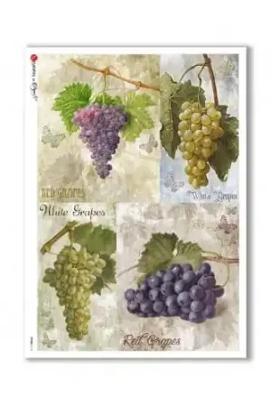 PAPEL ARROZ PAPERDESIGNS A3 RACIMOS DE UVAS Precio De Fábrica