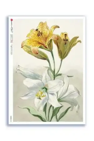 Envío Gratis PAPEL ARROZ PAPERDESIGNS A3 FLOR AMARILLA Y BLANCA