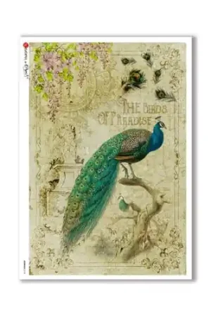 Más Vendido PAPEL ARROZ PAPERDESIGNS A3 PAVO REAL