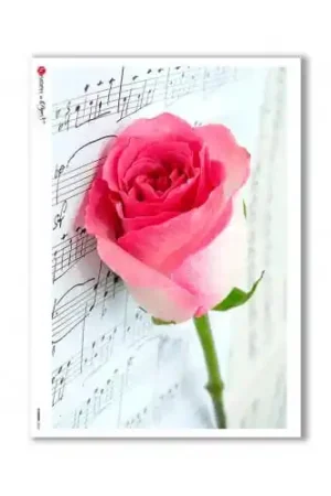 Oferta Flash PAPEL ARROZ PAPERDESIGNS A4 ROSA CON PARTITURA