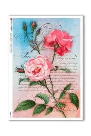 PAPEL ARROZ PAPERDESIGNS A4 ROSA CON TEXTO Nuevo Modelo