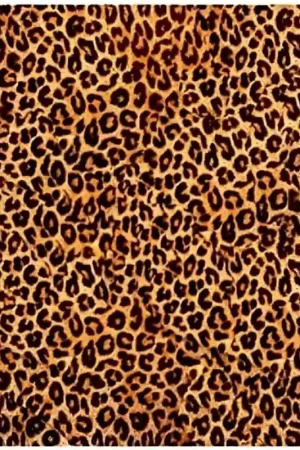 PAPEL ARROZ CADENCE Nº080 GUEPARDO 30x41 Oferta Limitada