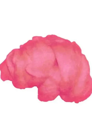 LANA FIELTRO 10 GR ROSA Pago Seguro