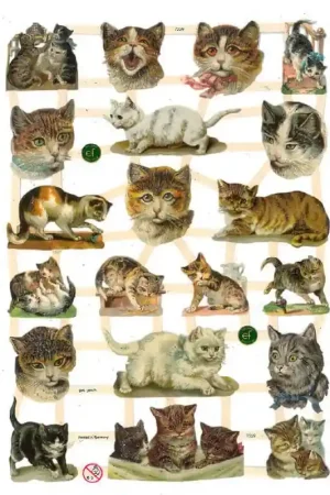 CROMO ALEMÁN Nº7329 Rebajas