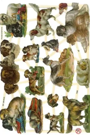 Oferta Especial CROMO ALEMÁN Nº7289