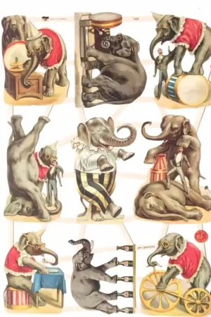 CROMO ALEMÁN Nº7428 Oferta Especial