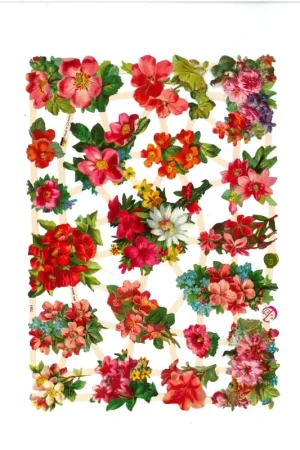 CROMO ALEMÁN Nº7381 Hecho A Mano