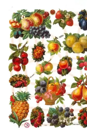 CROMO ALEMÁN Nº7274 Garantía De Devolución De Dinero