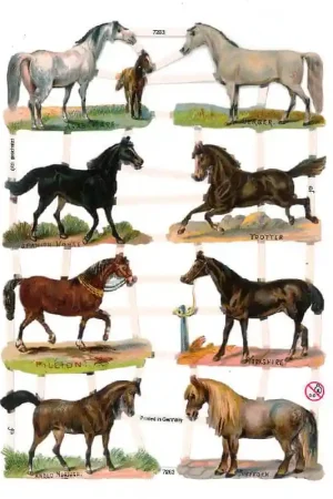 Ocasión Especial CROMO ALEMÁN Nº7263