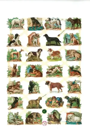 Garantía Incluida CROMO ALEMÁN Nº7337