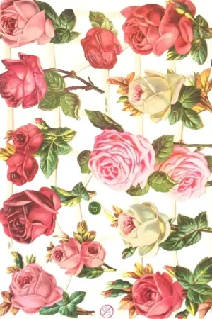 Stock Limitado CROMO ALEMÁN Nº7362