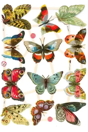 Stock Limitado CROMO ALEMÁN Nº7408