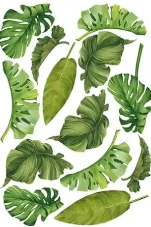 PAPEL ARROZ CALAMBOUR TCR104 HOJAS MONSTERA 35x50 Auténtico