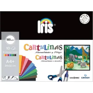 Rebajas Set 10 Cartulinas Iris Surtido 24x32 (A4+) 185gr Canson
