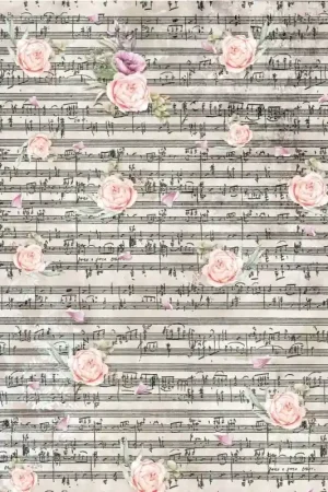 Ordenar Ahora Mismo PAPEL ARROZ CIAO BELLA A3 MUSICAL DREAM