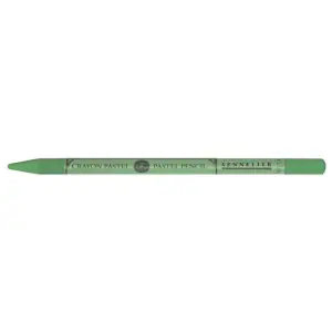 Lápiz pastel crayon n. 173 gris musgo verde, Sennelier Rebajas