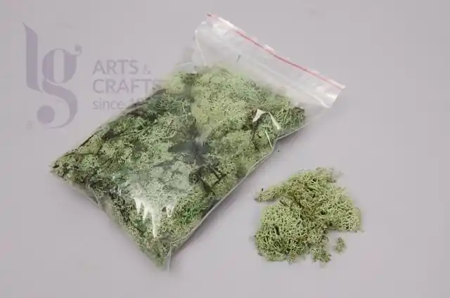 Gran Oferta MUSGO VERDE CLARO 100 GR