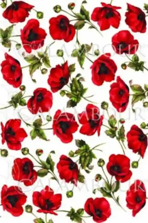Precio Bajo PAPEL ARROZ CALAMBOUR TCR043 AMAPOLAS 35x50