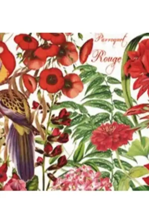 PAPEL ARROZ CALAMBOUR DGR306 PARROQUET ROUGE 35x50 Pedido Al Por Mayor