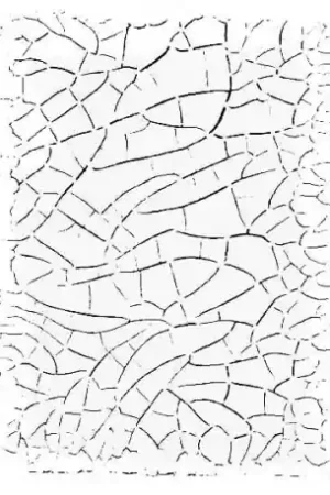 Mejor Precio STENCIL CADENCE 21x30 CM CRAQUELADO