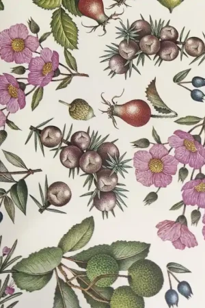 Directo De Fábrica PAPEL DECORATIVO ROSSI PLANTAS MEDITERRÁNEAS 100x70 CM