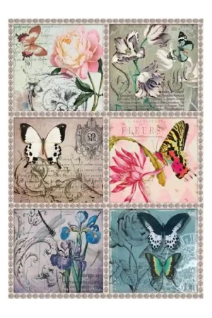 Envío Internacional PAPEL ARROZ CADENCE Nº198 POSTALES MARIPOSAS 30x41