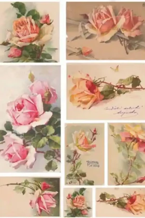 Imprescindible (Must-Have) PAPEL ARROZ CALAMBOUR DGR151 ROSAS 35x50