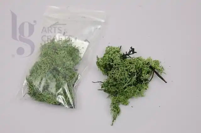 MUSGO VERDE OSCURO 15 GR No Te Lo Pierdas