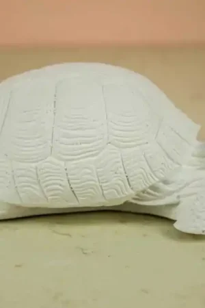 ESCAYOLA, TORTUGA 16x6 CM Económico