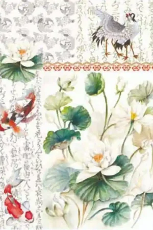 PAPEL ARROZ CALAMBOUR TCR021 NENUFARES 35x50 Precio Bajo