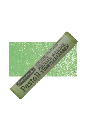 Súper Precio PASTEL SCHMINCKE  D,VERDE MUSGO 1